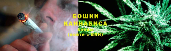 хмурый Белокуриха