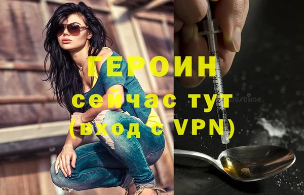 хмурый Белокуриха